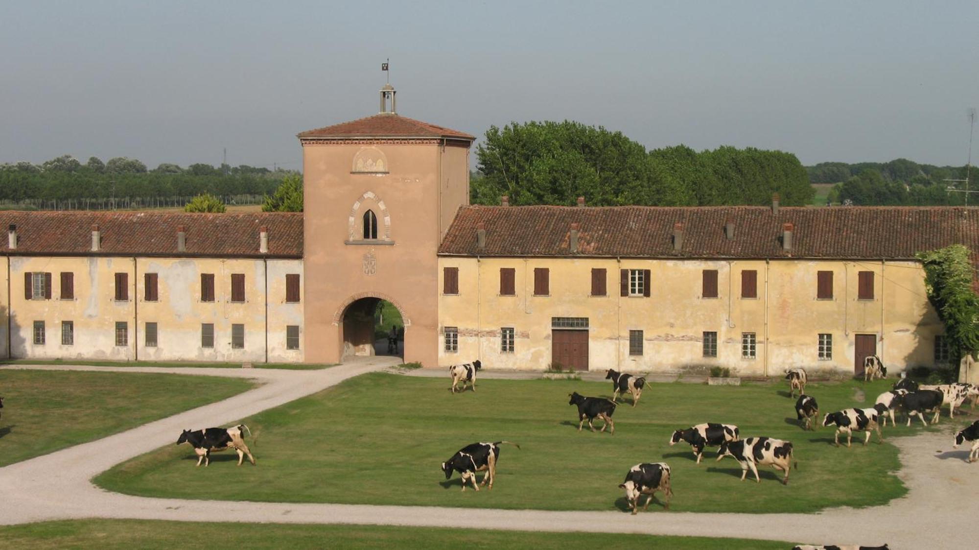 Agriturismo Corte Virgiliana Virgilio Exterior photo